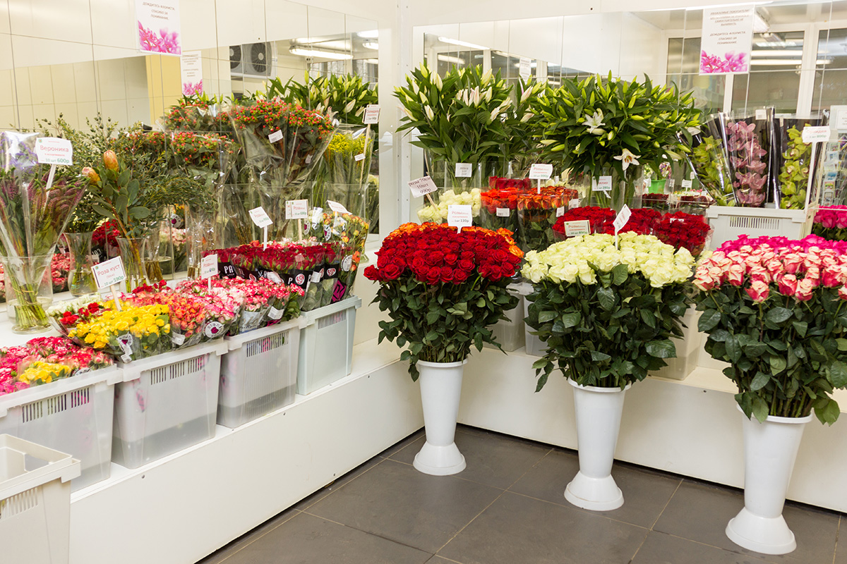 Где Можно Купить Цветы В Минске