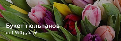 Тюльпаны - весенний подарок природы