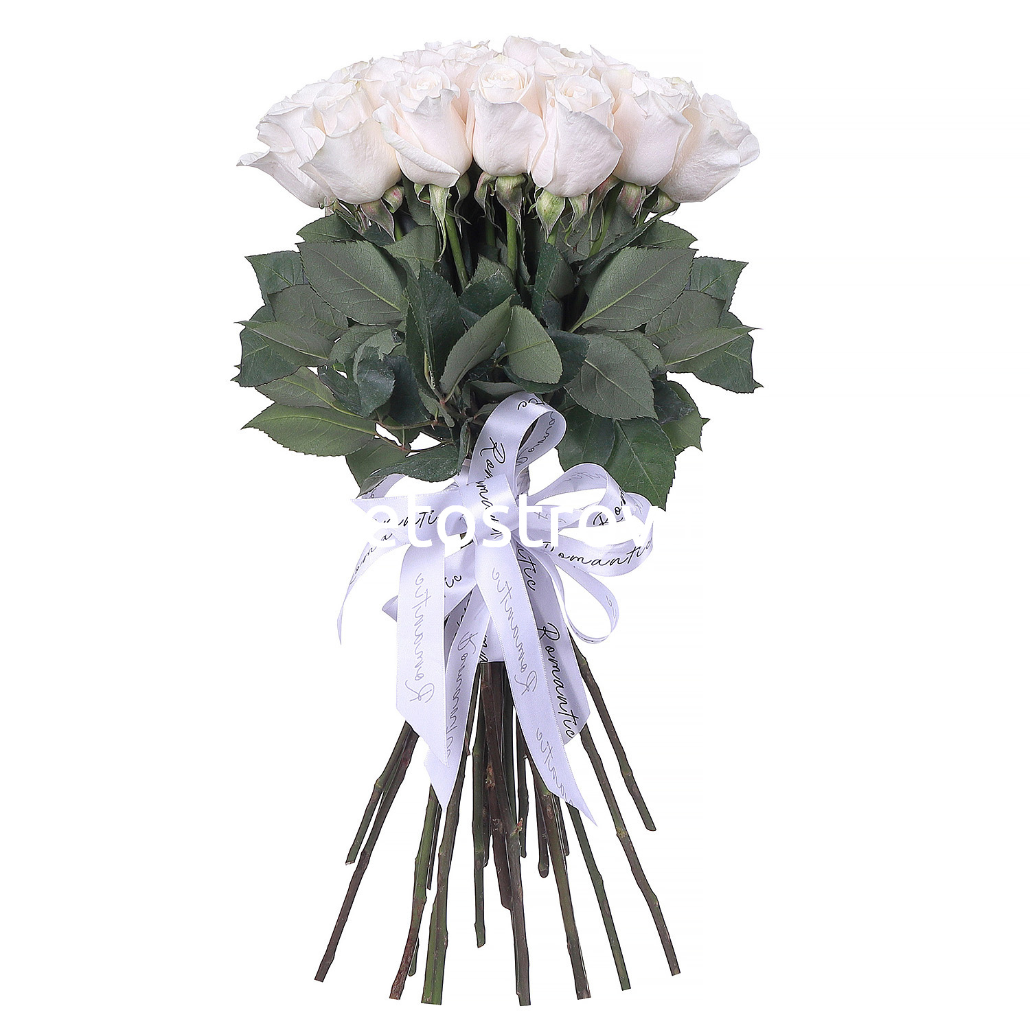 Букет из 25 роз Вендела (Vendela)