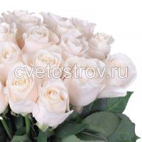 Букет из 21 белой розы Вендела (Vendela)