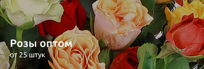 Розы оптом