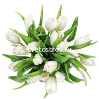 Букет из 17 белых тюльпанов мохровых