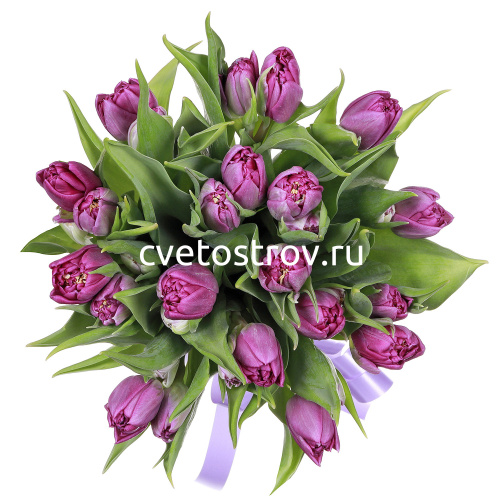 Букет из 15 тюльпанов "Пурпул Принц"