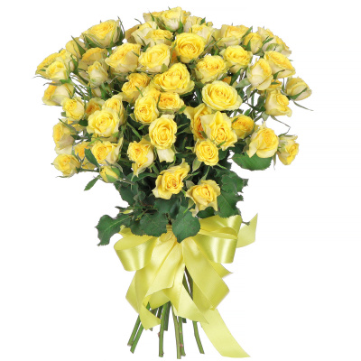 Роза кустовая "Елоу бейби" 50 см