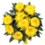 Хризантема одноголовая "Миголи" 9 штук