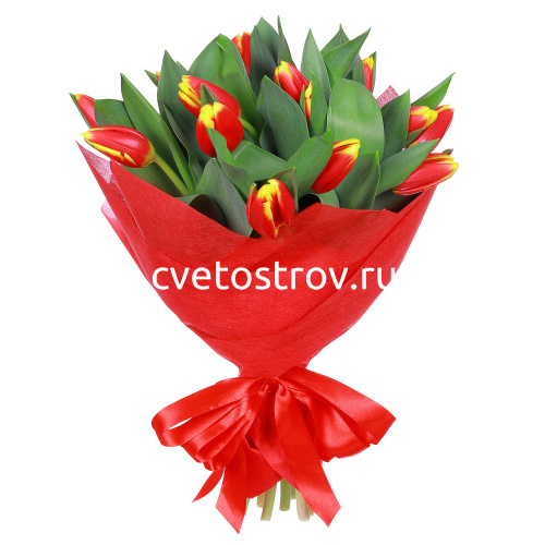 Букет из 15 тюльпанов "Кристмас"
