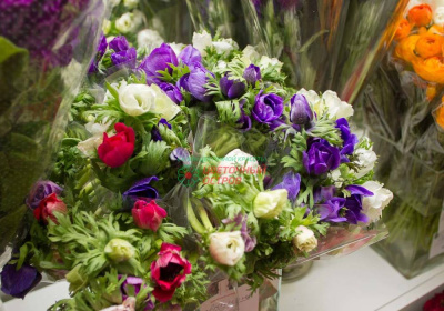 Анемоны микс