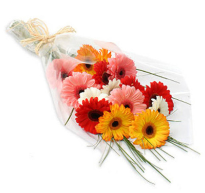 Букет из Герберы микс 15 штук