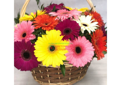 Корзина «Очарование»