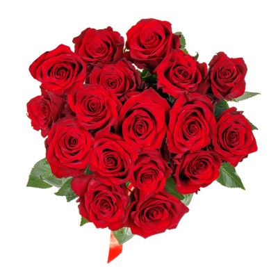 Букет из 17 красных роз " Секси Ред" 40 см