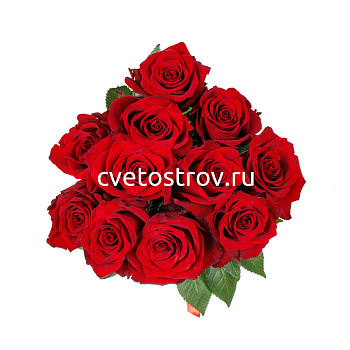 Букет из 11 красных роз " Секси Ред"