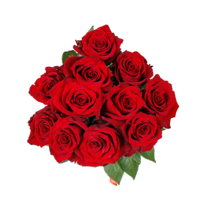 Букет из 11 красных роз " Секси Ред" 40 см