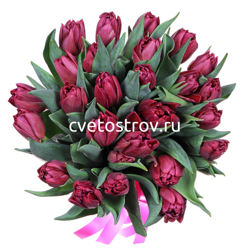 Букет из 25 тюльпанов "Дабл Принц"