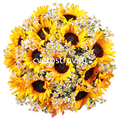 Букет из 15 подсолнухов Сан Рич (Sun Rich)