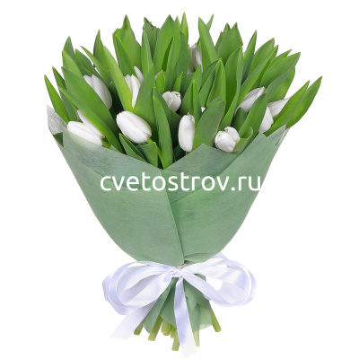 Букет из 25 тюльпанов белых