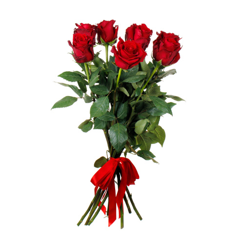 Роза "Секси Ред" 40 см 7 штук