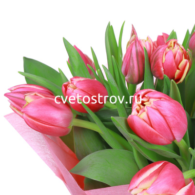 Букет из 15 тюльпанов "Колумбус"