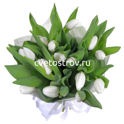 Букет из 15 тюльпанов белых