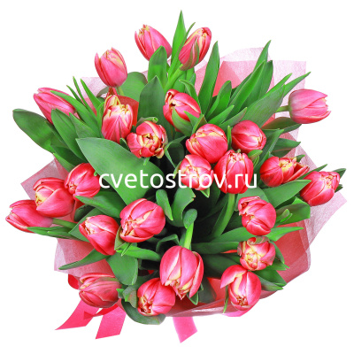 Букет из 25 тюльпанов "Колумбус"