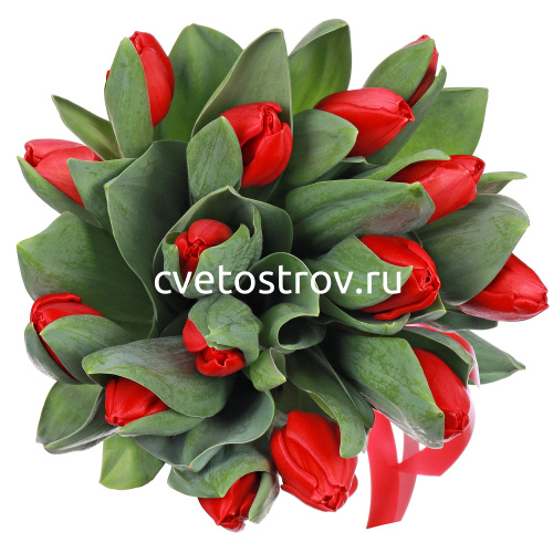 Букет из 15 красных тюльпанов