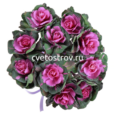 Букет из 11 розовой барссики