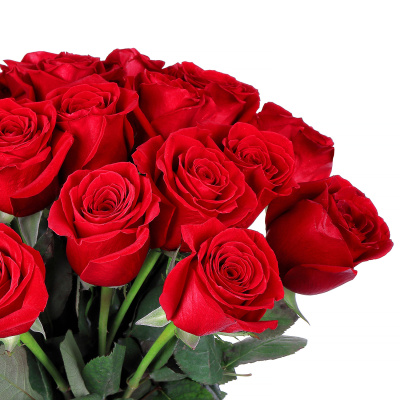 Роза Фридом (Freedom) (50 см.)