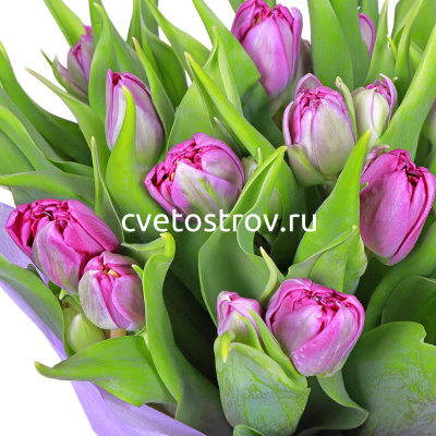 Букет из 15 тюльпанов "Принцесса"