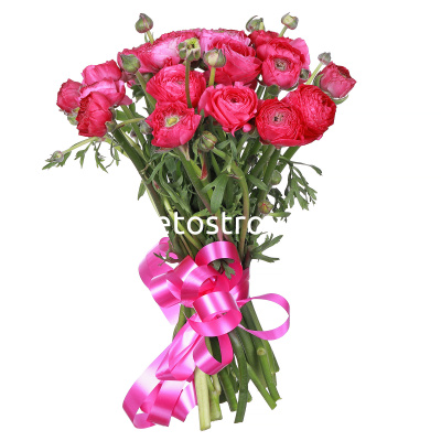 Букет из 15 розовых ранункулюсов