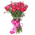 Букет из 15 розовых ранункулюсов