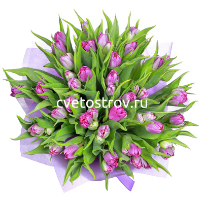 Букет из 25 тюльпанов "Принцесса"