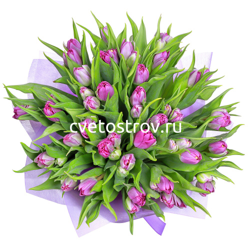 Букет из 25 тюльпанов "Принцесса"