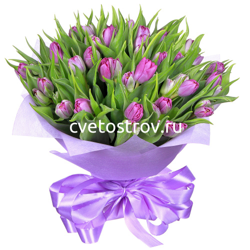 Букет из 25 тюльпанов "Принцесса"