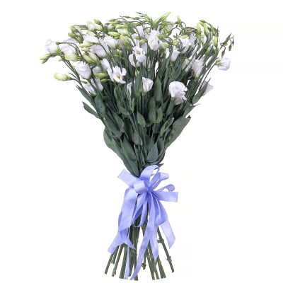 Эустома белая