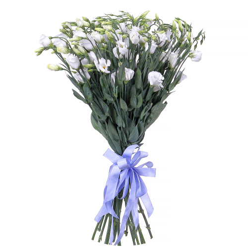 Эустома белая