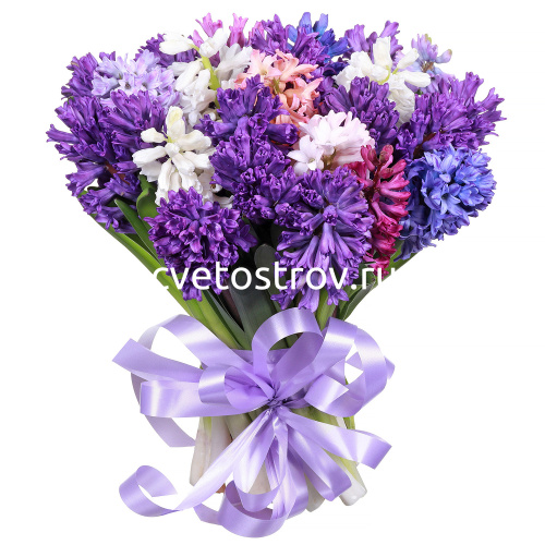 Букет из 25 гиацинтов микс