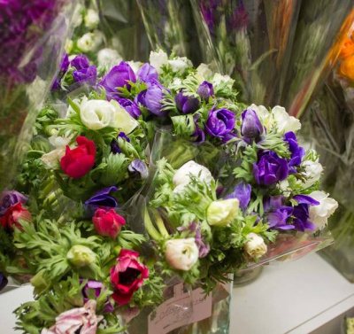 Анемоны микс