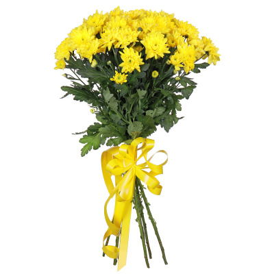 Хризантемы кустовые желтые