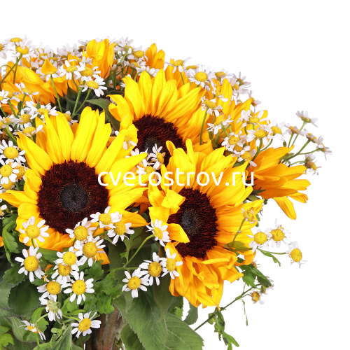 Букет из 15 подсолнухов Сан Рич (Sun Rich)