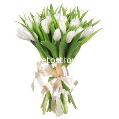 Букет из 31 тюльпанов мохровых