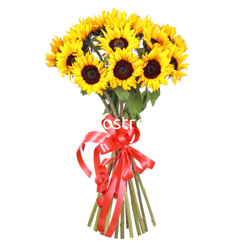 Букет из 15 подсолнухов