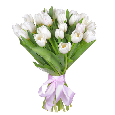 Тюльпаны белые 25 штук