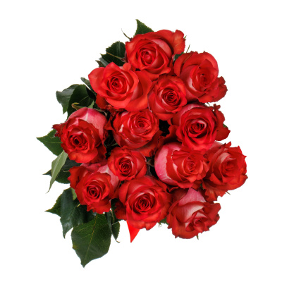 Розы " Игуана " 13 штук 40 см