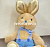Кролик Питер