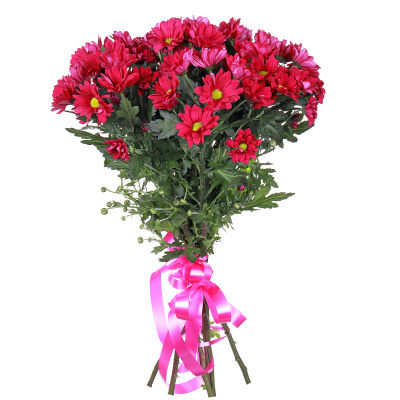 Хризантемы кустовые красные