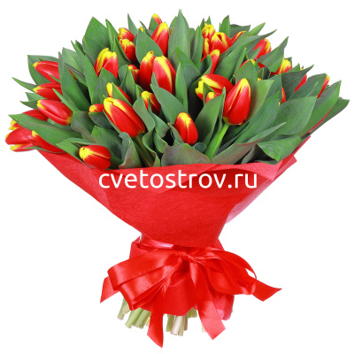Букет из 51 тюльпана "Кристмас"