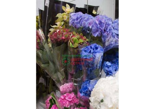 Гидрангея микс