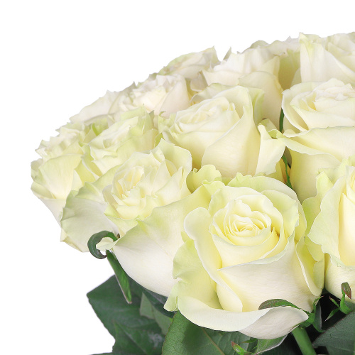 Букет из 33 роз Мондиаль (Mondiale) (50 см.)