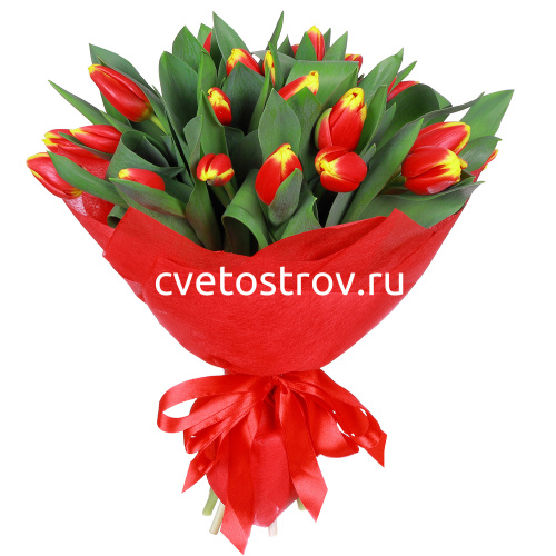 Букет из 25 тюльпана "Кристмас"
