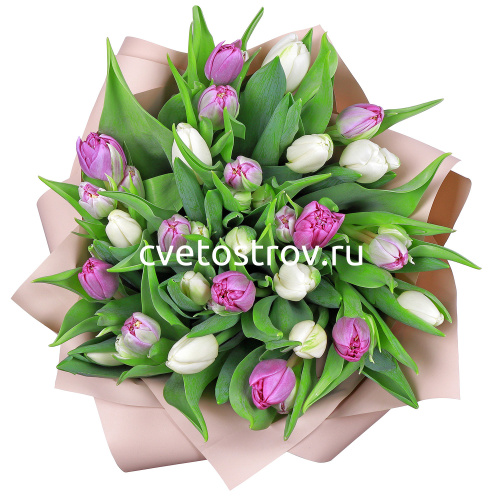 Букет из 25 тюльпанов "Нежность"