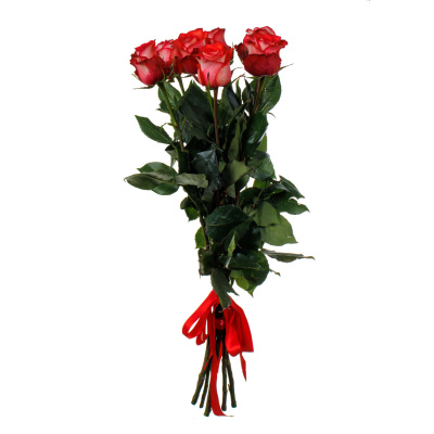 Розы " Игуана" 7 штук 40 см